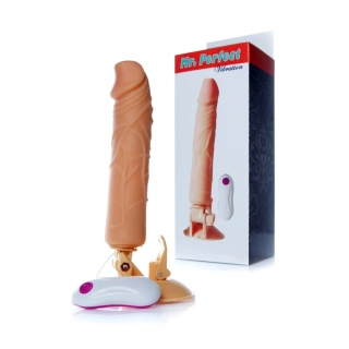 Boss Series Mr. Perfect Vibration 03